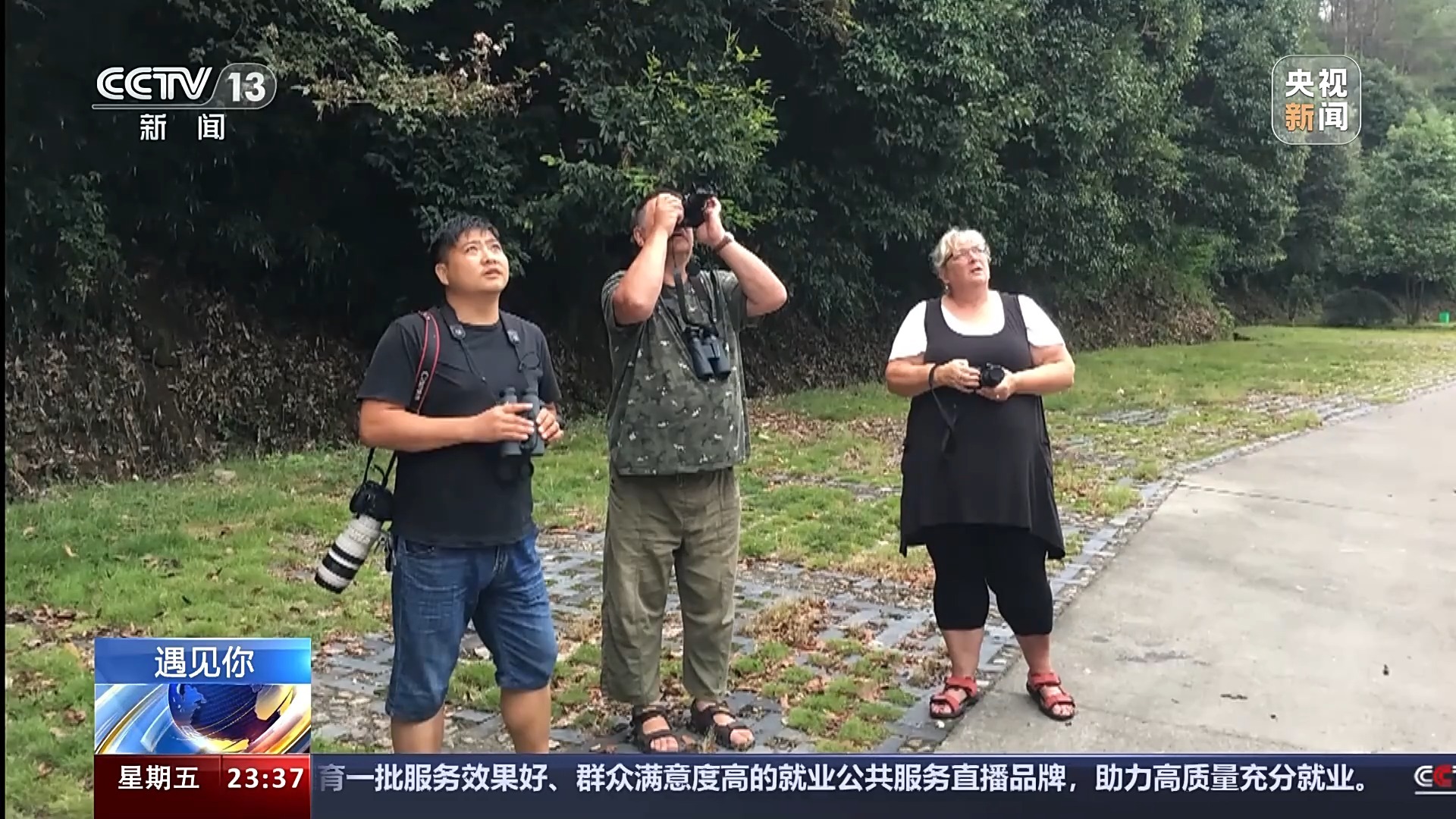 最新鳥哥揭秘鳥類世界奧秘