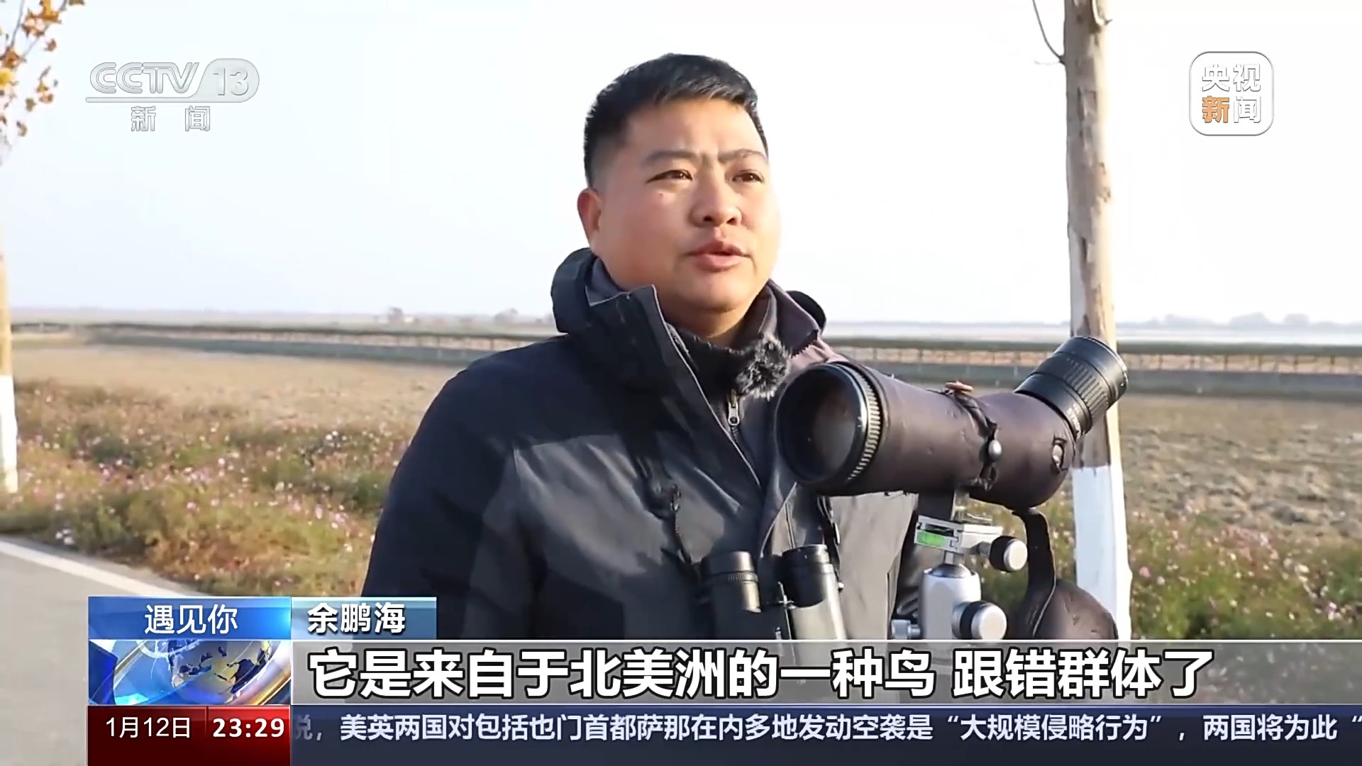 最新鳥哥揭秘鳥類世界奧秘