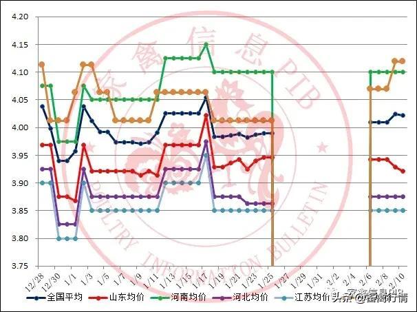 麻雞最新價(jià)格指南,全面解析與步驟詳解
