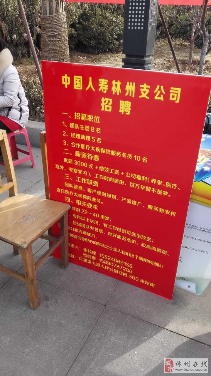 林州最新招聘信息全面揭秘!