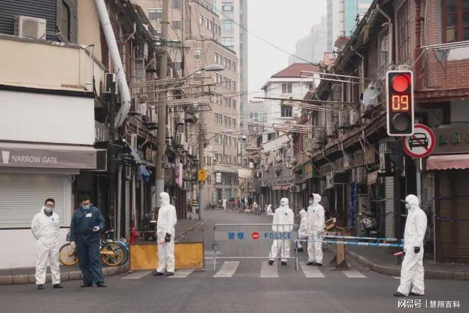 上海最新疫情下的自然探索之旅,尋求內心的寧靜與平和