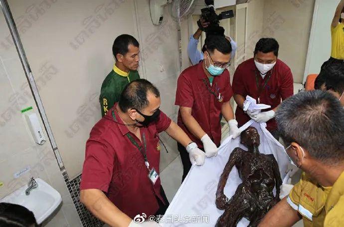 泰國(guó)國(guó)王火化最新動(dòng)態(tài)與小巷獨(dú)特小店探秘