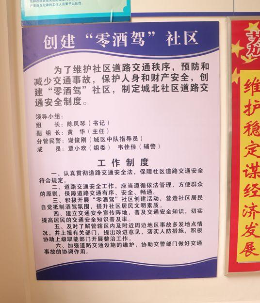 桂林監察網最新動態,自然之旅的心靈覺醒之旅