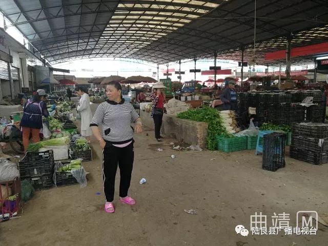 最新斗雞自油交易市場(chǎng)深度探討與論述