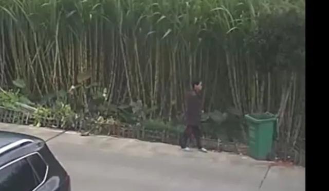 浙江溫嶺詐騙最新動態,日常詐騙背后的友情紐帶揭秘