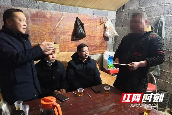 桃江紅網最新消息及其觀點論述解析