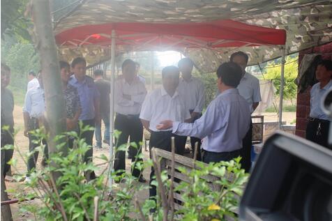 微山程大志最新消息,微山程大志最新消息,變化中的力量與自信之光