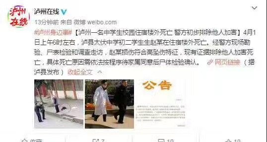 瀘縣校園悲劇與日常趣事,愛與陪伴的力量最新進展