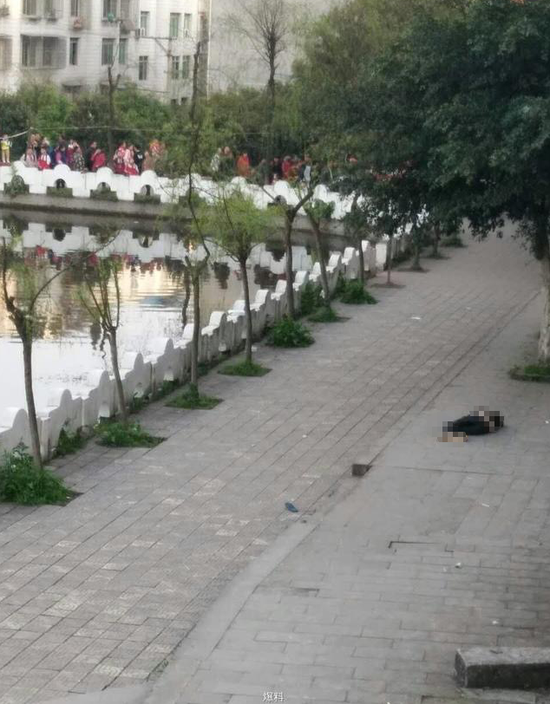 瀘縣校園悲劇與日常趣事,愛與陪伴的力量最新進展