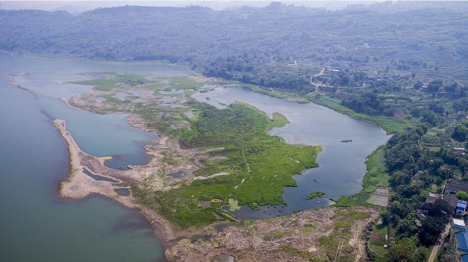 江津區(qū)龍華鎮(zhèn)最新信息與溫馨日常報道