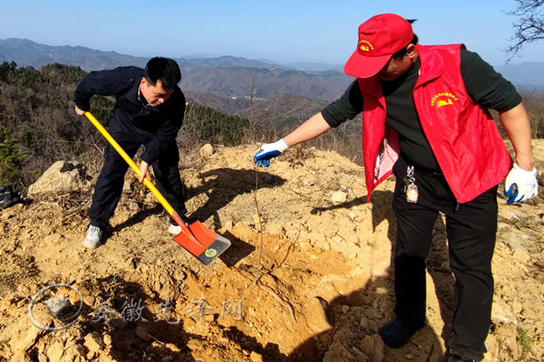 金寨縣關(guān)廟鄉(xiāng)最新新聞報(bào)道匯總