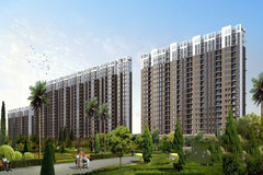 新塘惠百氏最新房價,家的溫馨故事啟程點