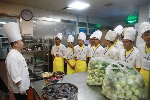 北侖食堂廚師招聘啟事,烹飪夢想,技藝展現(xiàn)平臺