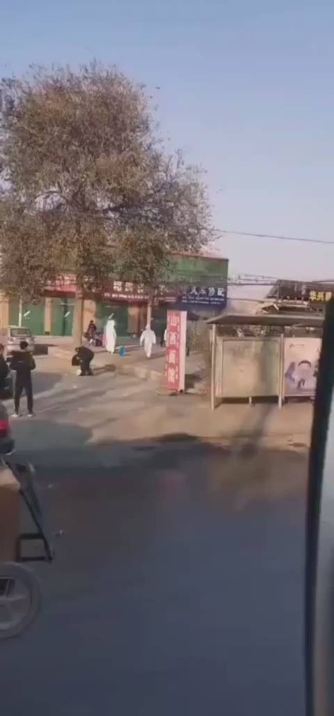 平鄉吧最新消息視頻速遞,掌握最新動態!