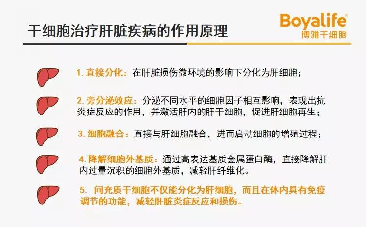 最新干細胞治療肝硬化,變化帶來希望,開啟自信與成就感的康復之旅