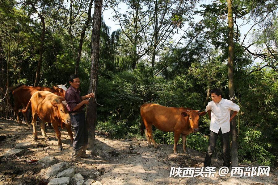 自閉癥2025最新藥物突破,希望之光照亮家庭