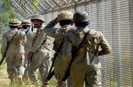 印度最新軍事動態,心靈與自然的交融之旅