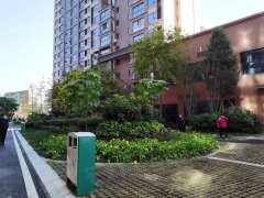 綿陽金陽金領最新動態,探索自然美景的治愈之旅