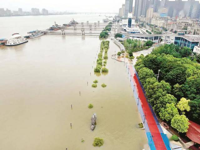 武漢水位最新動態(tài),全面解析水位變化及其影響