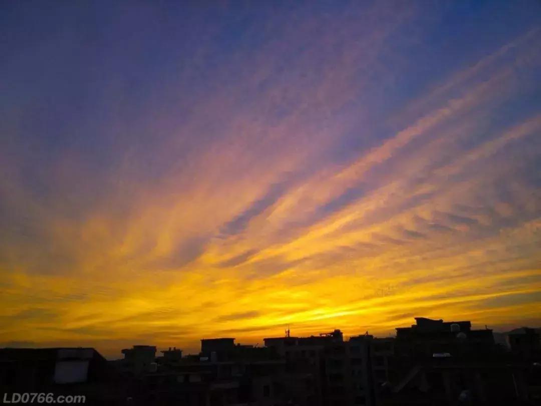 羅定e天空最新招聘信息發布??