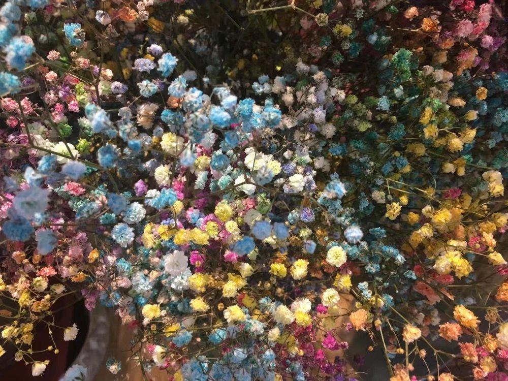 致深愛(ài)的你，日常趣事與溫馨陪伴的最新章節(jié)