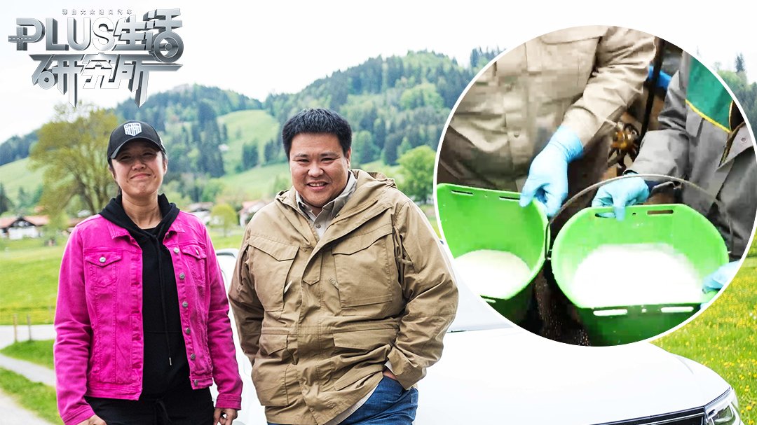 梁紅張昕宇最新節(jié)目全攻略,步驟指南適用于初學(xué)者與進(jìn)階用戶