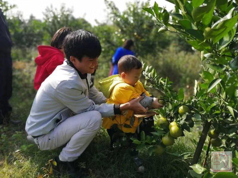 湖南常寧勝橋最新動態報道，新聞速遞????