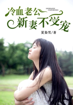 簡夏冷彥小說最新閱讀,小巷神秘書香小屋的奇遇