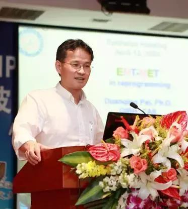 裴端卿最新動(dòng)態(tài),時(shí)代印記與領(lǐng)域領(lǐng)航者的新進(jìn)展