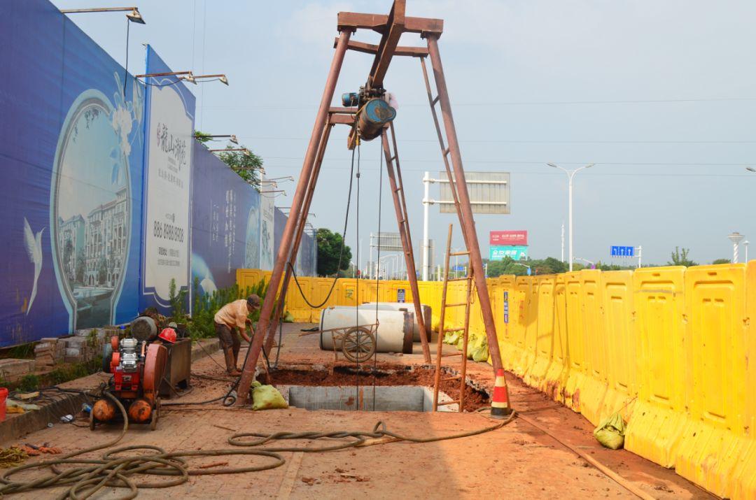 龍山湖苑最新動態揭秘，巷弄深處的獨特小店等你來探索！