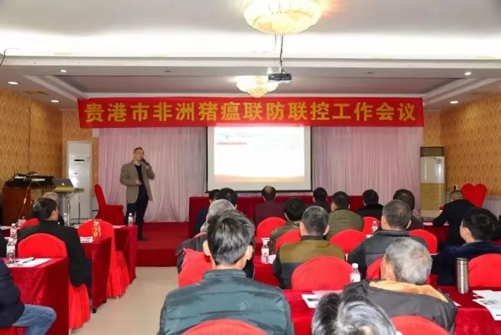 貴港揚翔最新招聘信息,探尋職業發展的理想舞臺,等你來挑戰!