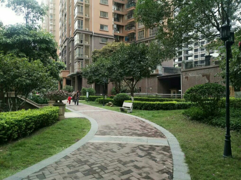 清遠中恒公園最新房價揭秘，小巷深處的意外發現